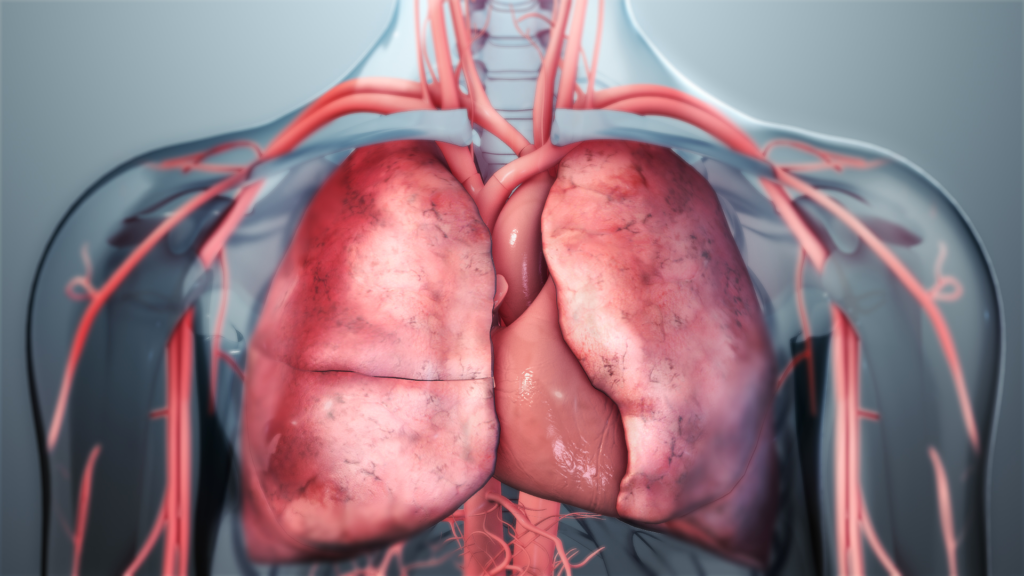 Preparação Pulmonar para o Ano: Check-up Respiratório e Prevenção