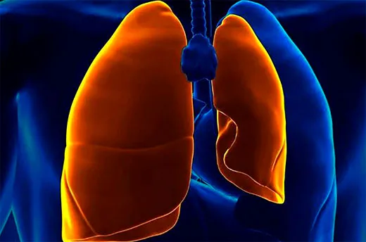 Pneumotórax: causas, sintomas e tratamentos