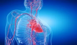 cancer de pulmao e saude cardiovascular a conexao importante
