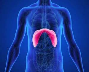 eventracao diafragmatica