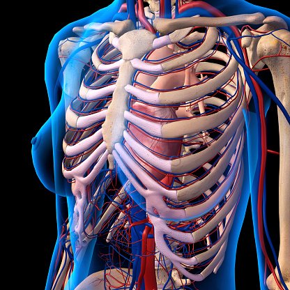 cirurgia toracica20211213