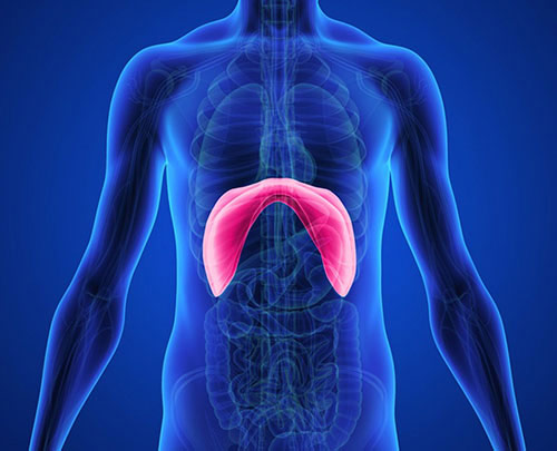 eventracao diafragmatica20220608