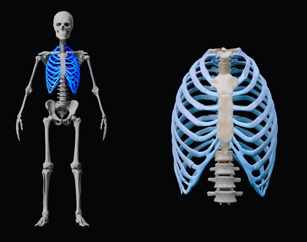 gradil costal20230815